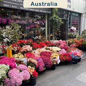 Consegna fiori Australia