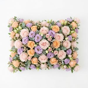 Cushion Line