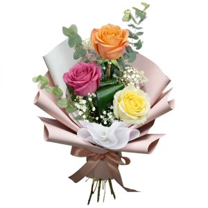 Multicolored Roses