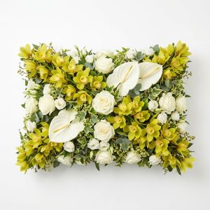 Bratislava Cushion